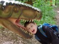 Őslénypark - Barcarozsnyó Veszélyben Barcarozsnyó őslénypark